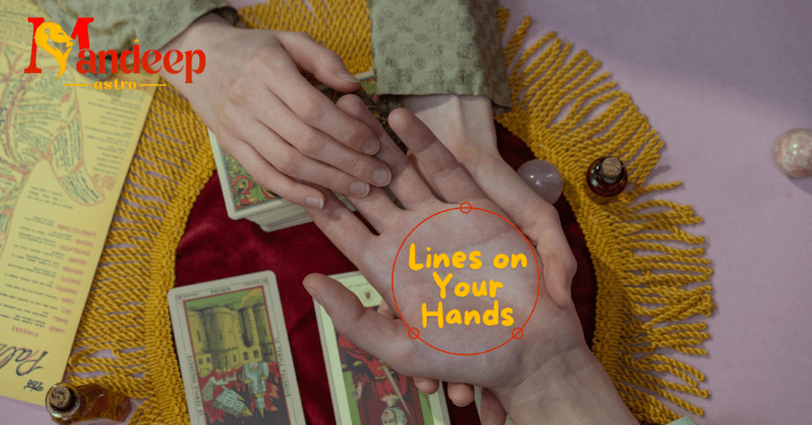 Palmistry | Mandeep Astro | Lines on Your Hands