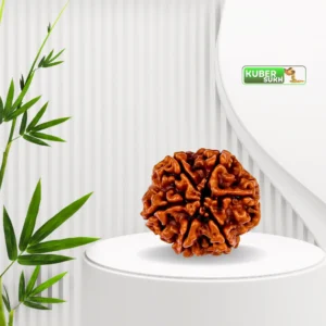 1-21 Mukhi Rudraksha | Mandeep Astro | Kubersukh