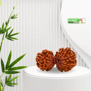 Gauri Shankar Rudraksha | Mandeep Astro | Kubersukh