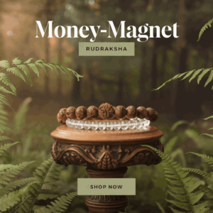 k7PjWnRjR3qj24JmqGY7qA_11zon